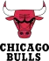 Chicago Bulls Logo